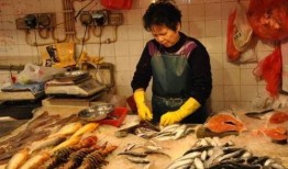 鱼贩子爆料视频,揭秘水产市场惊人内幕