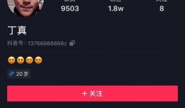 爆料博主直播视频下载,博主爆料视频下载全解析