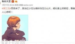 小花加油爆料是真的吗视频,小花加油爆料视频真实性揭秘