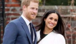 最新爆料185号梅根图片,揭开神秘面纱背后的故事